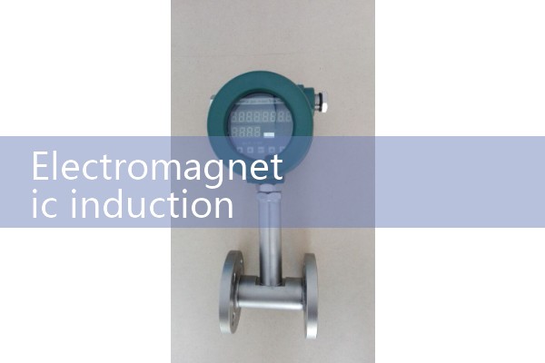 Electromagnetic induction flowmeter