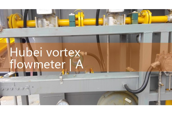 Hubei vortex flowmeter
