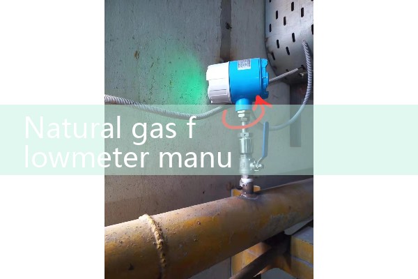 Manufacturer of natural gas flow meters