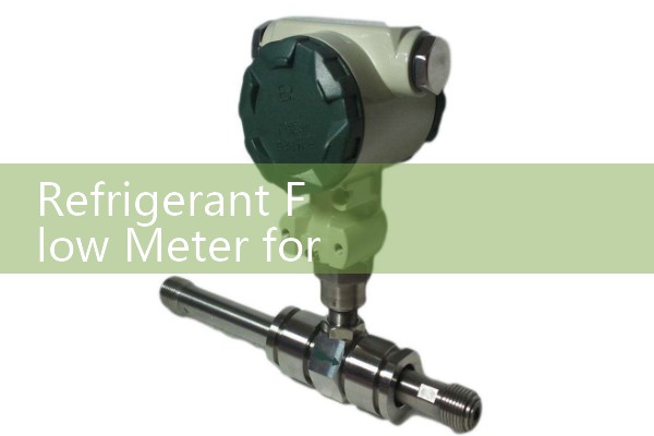 Vegetable Oil Flow Meter Food-Grade Sanitary Standards