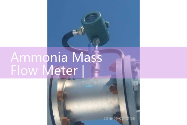 Ammonia mass flowmeter