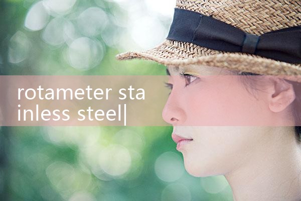 rotameter stainless steel|turbine flow meter