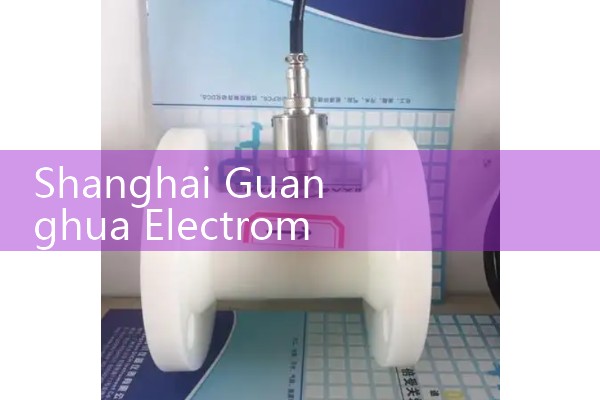 Shanghai Guanghua Electromagnetic Flow Meter