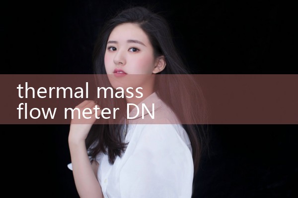 thermal mass flow meter DN100|turbine flow meter