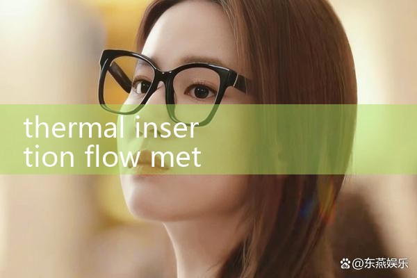 thermal insertion flow meter|turbine flow meter
