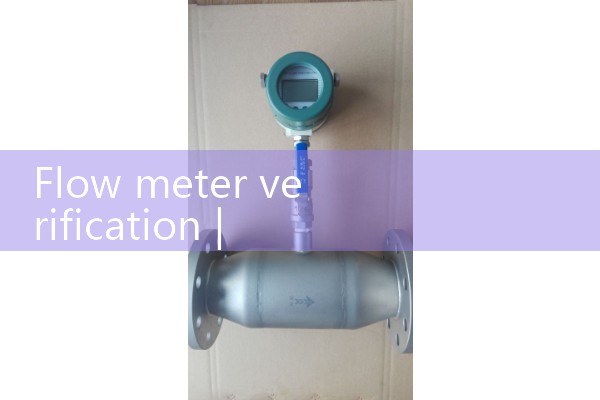Flow meter verification