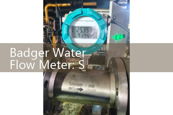 Badger Water Flow Meter: Sourcing Smart Residential Billing Main Valves