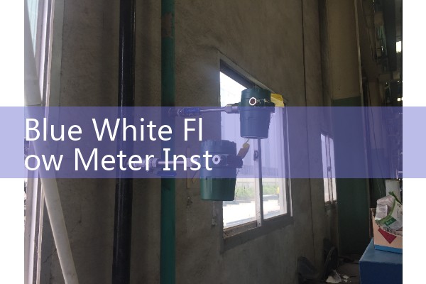 Blue White Flow Meter Installation: Sourcing Upstream Straight Pipe Run Layouts