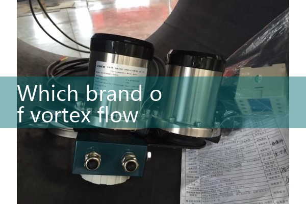 Which brand of vortex flowmeter is good