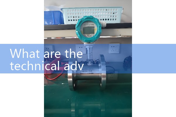 Oxygen mass flow meter dmfrcl