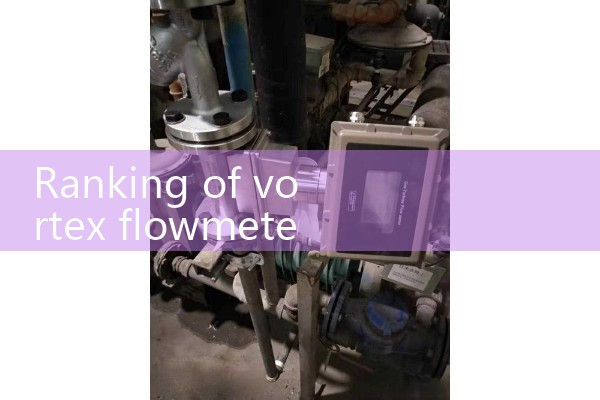 Ranking of Vortex Flow Meter Brands