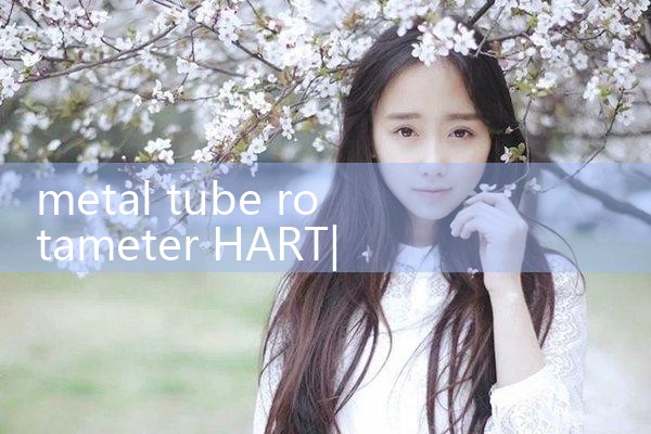 metal tube rotameter HART|turbine flow meter