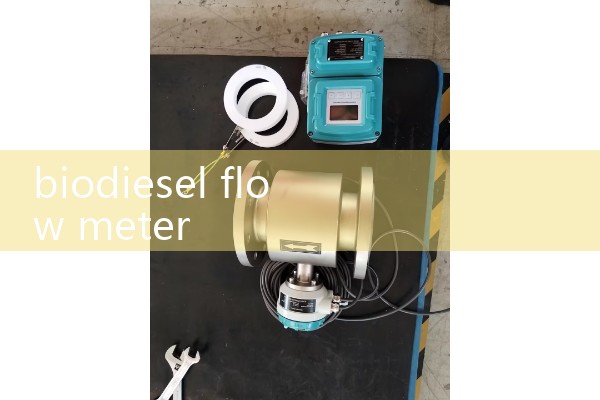 biodiesel flow meter