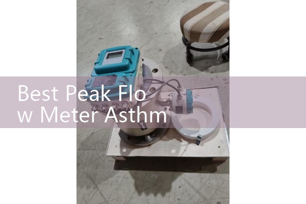 Best Peak Flow Meter Asthma: Sourcing Pediatric and Adult Target Action Zones