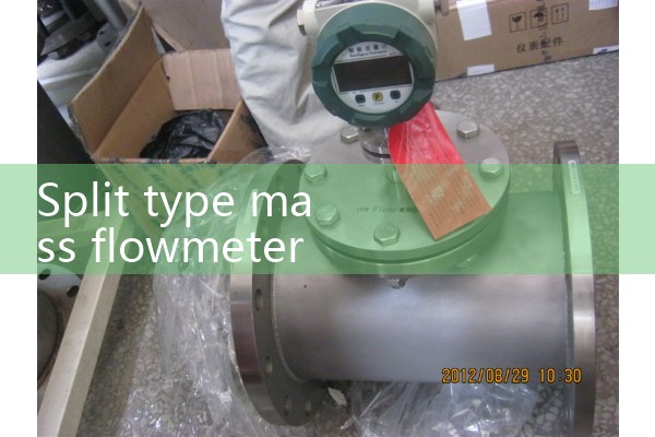 Split type mass flowmeter