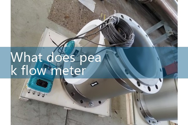 Peak flow meter