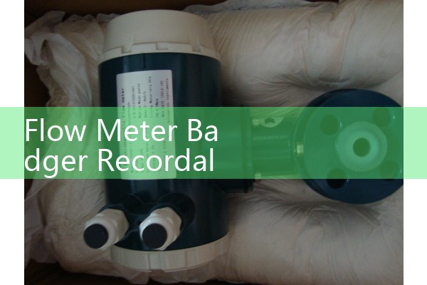 Flow Meter Badger Recordall Series: Sizing and Maintaining Nutating Disc Water Meters