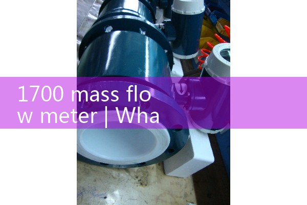 1700 mass flow meter