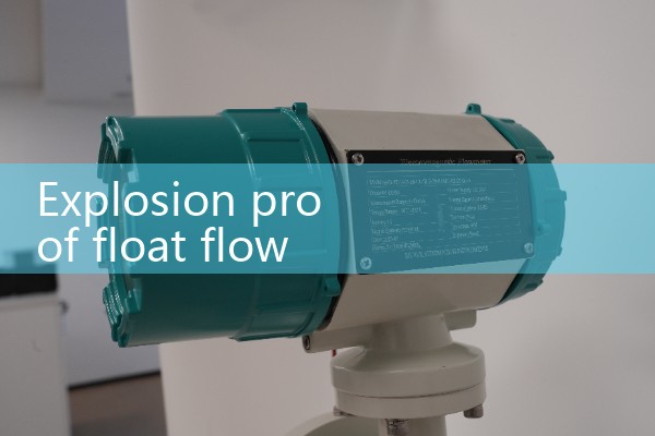 Explosion proof float flowmeter