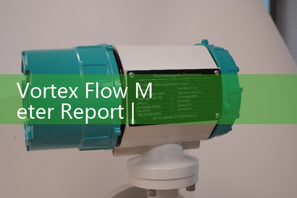 Vortex flowmeter report
