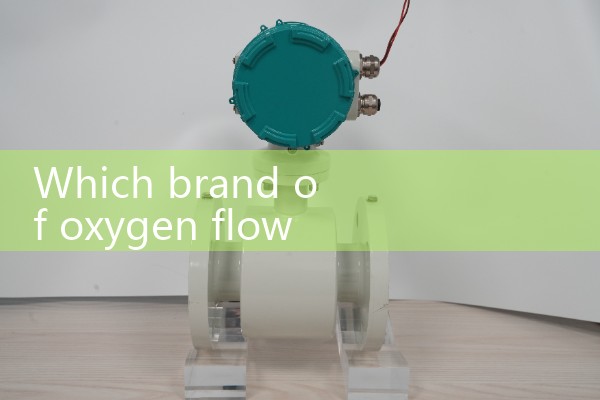 Oxygen flowmeter brand