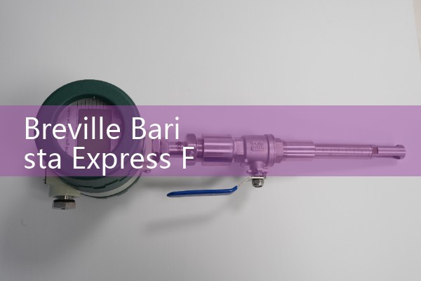 Breville Barista Express Flow Meter: Sourcing Espresso Machine Water Line Diagnostics