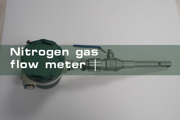 nitrogen gas flow meter|mass flow meter
