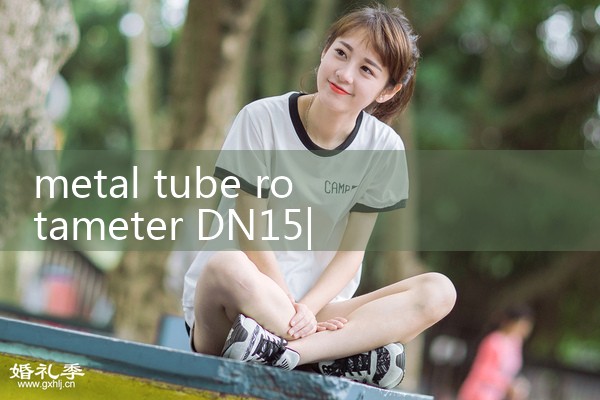 metal tube rotameter DN15|turbine flow meter