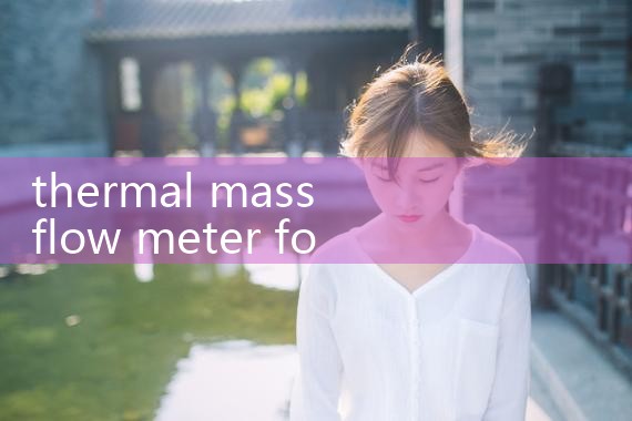 thermal mass flow meter for helium|turbine flow meter
