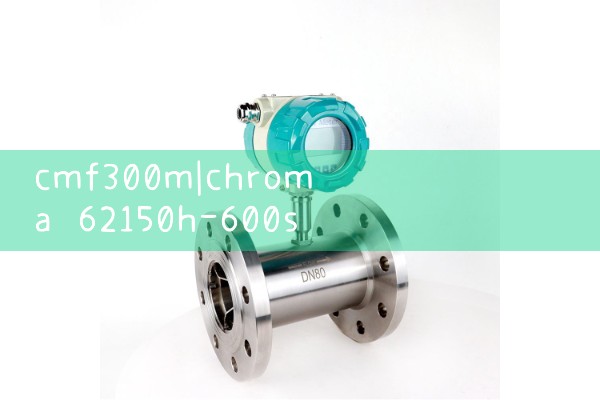 cmf300m|gas flow meter