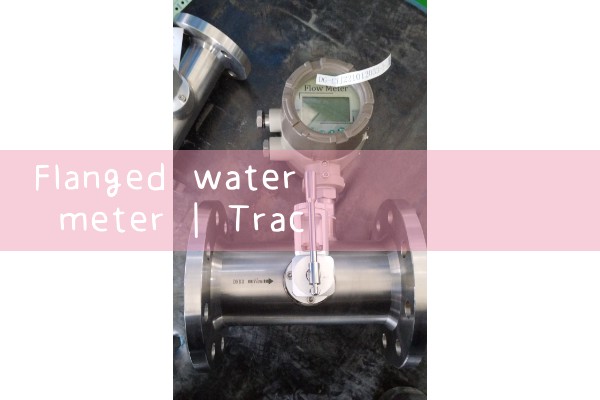 flanged water meter|heat flow meter
