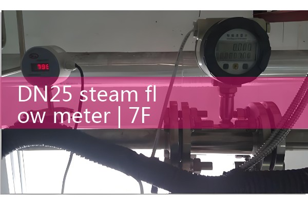 DN25 steam flowmeter