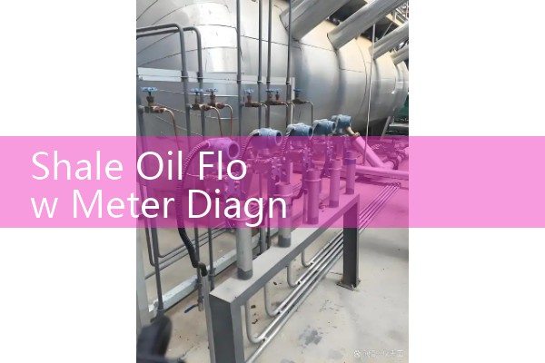 Shale Oil Flow Meter Diagnostics for Entrained Gas