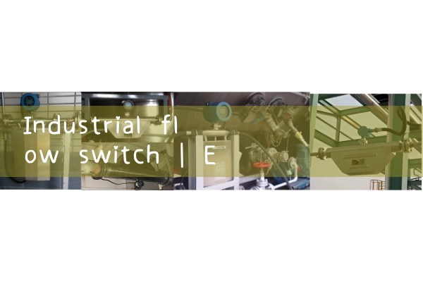 industrial flow switch|gas flow meter