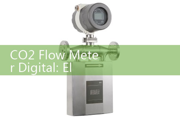 CO2 Flow Meter Digital: Electronic LCD Display Gas Processing Monitors