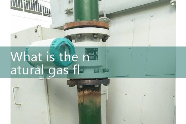 Natural gas flowmeter price unit
