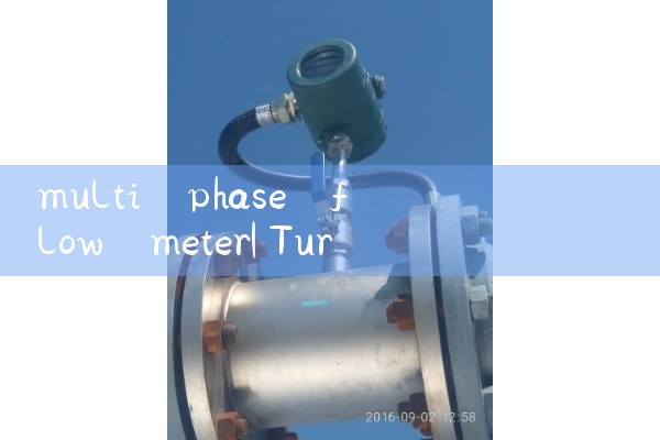 multi phase flow meter|mass flow meter