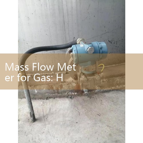 Mass Flow Meter for Gas: High-Precision Industrial Thermal Controllers
