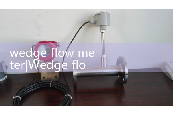 wedge flow meter|heat flow meter