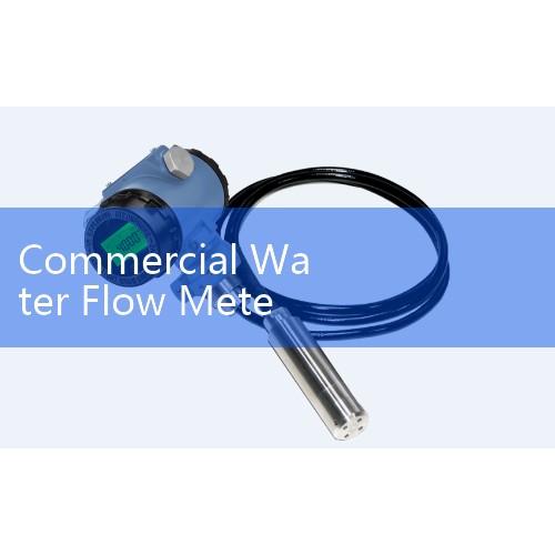 Commercial Water Flow Meter: High-Capacity Utility Main Distribution Valves