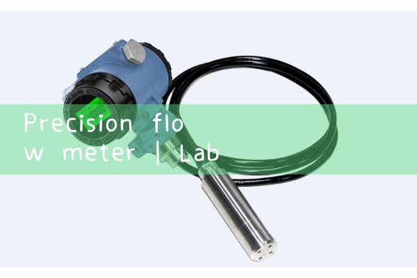 precision flow meter|gas flow meter