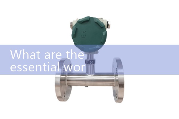 powder flow meter|gas flow meter