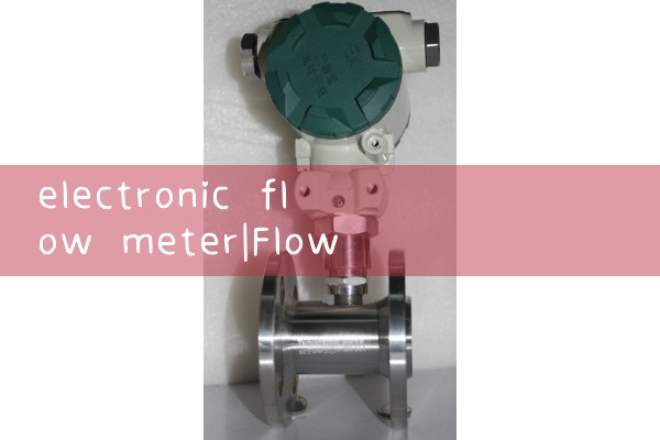 electronic flow meter|heat flow meter